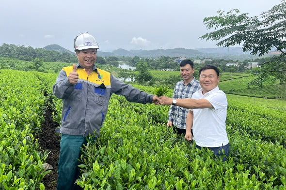 적용 후 (2025년 5월 24일)