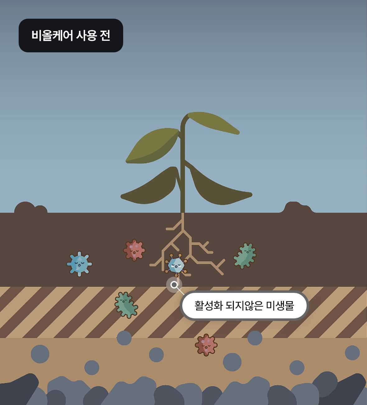 비올케어 사용 전