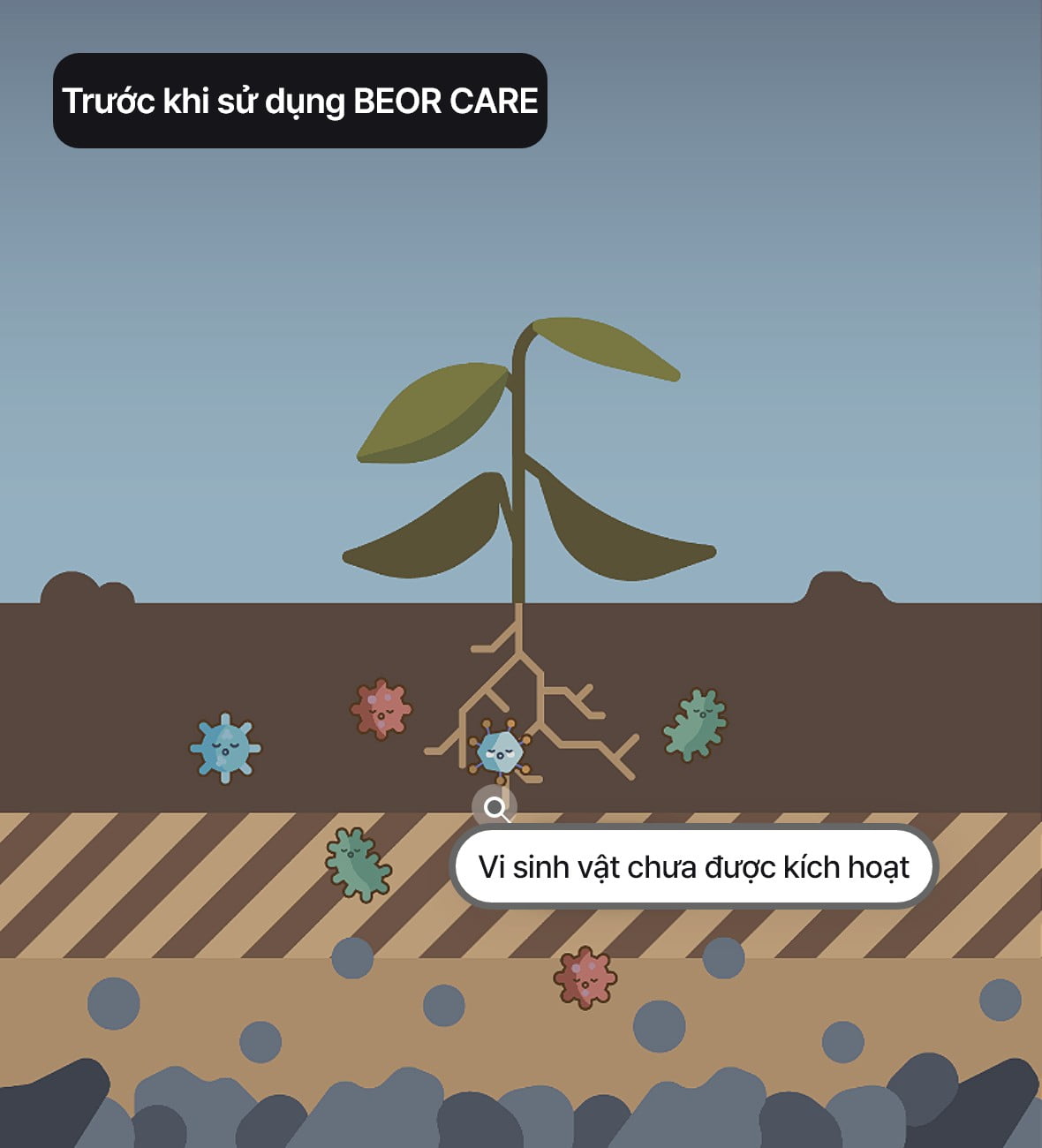 Trước khi sử dụng BEOR CARE