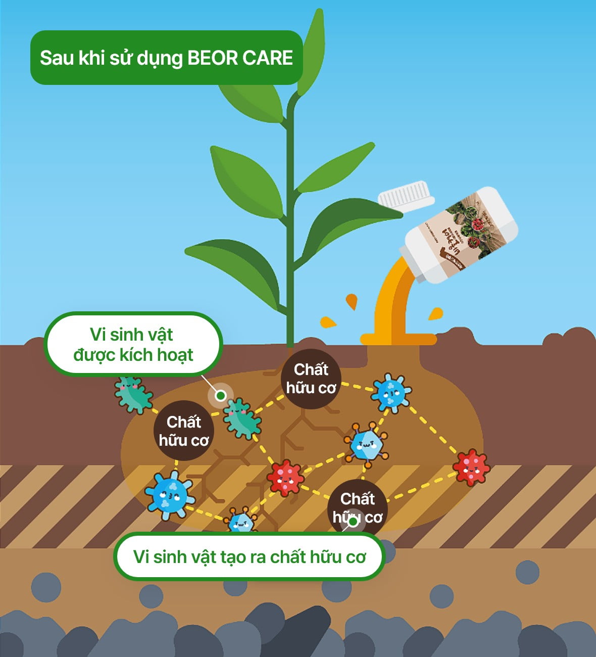 비올케어 사용 후